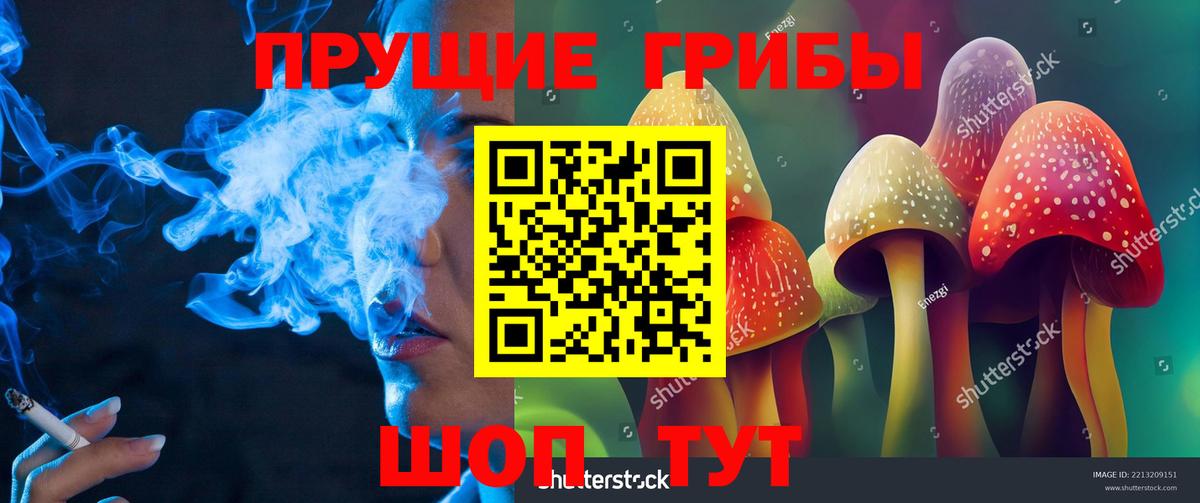 Псилоцибиновые грибы Psilocybine cubensis  Галлюциногенные грибы MAGIC MUSHROOMS  как найти закладки  Вход с VPN  Киселёвск 