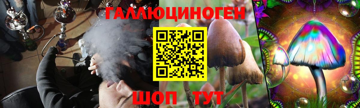 Псилоцибиновые грибы мицелий Киселёвск